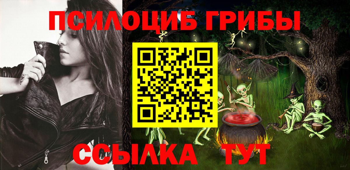 Галлюциногенные грибы Psilocybe Бийск