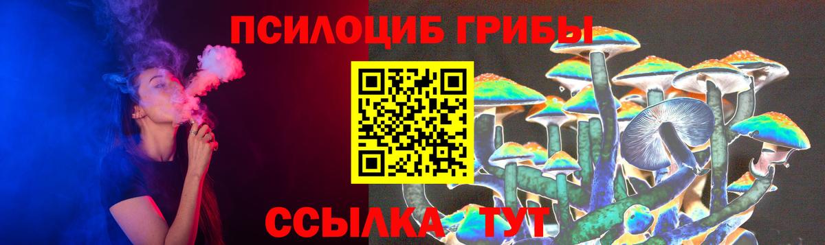 Галлюциногенные грибы Cubensis  Вход с VPN  Бийск 